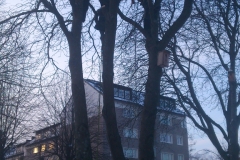 24_gallery