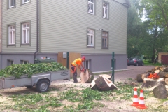 8_gallery